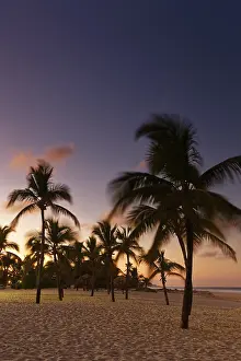 Palm Tree Silhouette Prints: Sunset on the beach with palm trees