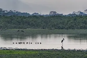 World Heritage Site Tourism Prints: Sunset over the Brahmaputra river