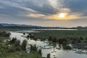 Atmospheric Light In Nature Reserve Prints: Sunset over the Brahmaputra river