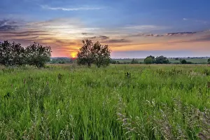 Rural Landscape Prints: Sunset over field of grass
