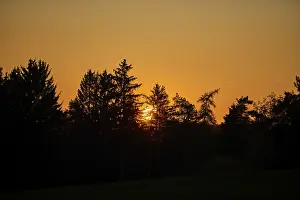 Upper Palatinate Scenery Prints: Sunset over a forest in autumn