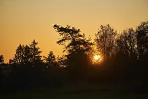 Central Europe Autumn Atmosphere Prints: Sunset over a forest in autumn