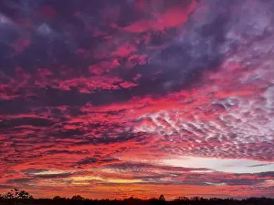 Evening Atmosphere Prints: Sunset illuminating the sky with dramatic red