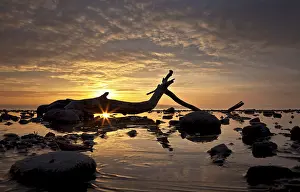 Morning Light On Water Prints: Sunset at Lake Constance