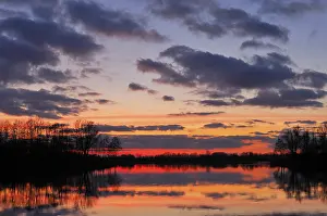 Serene Evening Atmosphere Prints: Sunset on a lake with trees and clouds