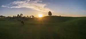 Aerial Photography Europe Prints: Sunset with lime tree on Drumlinhugel
