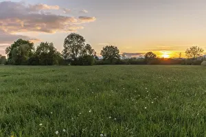 Peaceful European Landscape Prints: Sunset in a meadow on a quiet spring evening