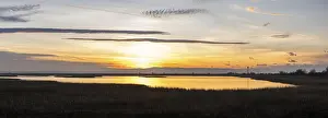 Sunset In Hungary Prints: Sunset in the Mexikopuszta
