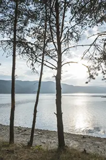 Atmospheric Morning Light Prints: Sunset on mountain dam. Pine trees