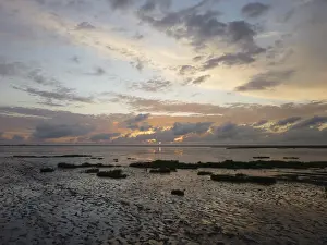 Sunset Over The Sea Prints: Sunset, mudflats, sun, evening
