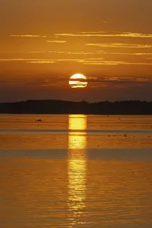 European Evening Sky Prints: Sunset, near Chieming, Chiemsee