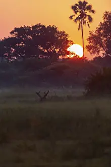 Botswana Landscape Photography Prints: Sunset over the Okavango Delta