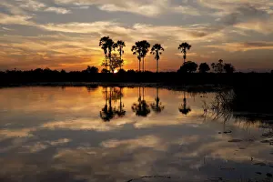 World Natural Heritage Landscape Prints: Sunset over the Okavango Delta in Botswana