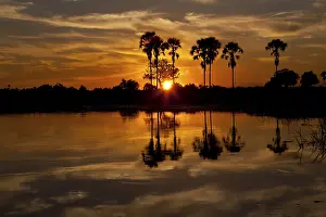 Prints of Sunset over the Okavango Delta in Botswana Related Prints: Okavango Delta Sunset Print