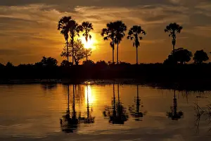 Related Prints: Okavango Delta Sunset Print