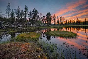 Prints of Sunset, orange clouds reflected in the lake, forest, small islands with grass, Kittila, Lappi, Finland Sunset, orange clouds reflected in the lake, forest, small islands with grass, Kittil, Lappi Lake Prints: Sunset Print - Kittila, Lappi, Finland