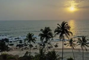 Palm Tree Landscape Prints: Sunset with palm trees on the beach