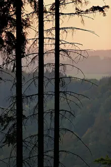 Evening Light In Central Europe Prints: Sunset in the Thuringian Slate Mountains