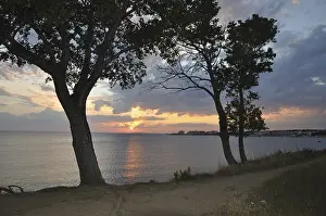 Cloudy Evening Sky Prints: Sunset, tree, trees, two, evening