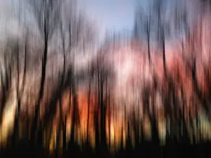 Evening Sunlight In Germany Prints: Sunset, trees, abstract, wipe effect, Germany