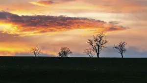 Deserted Farmland UK Prints: Sunset over Trees and Fields, England