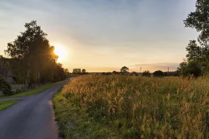 Northern Germany Sunset Prints: Sunset behind trees, sun rays, Elbe cycle path
