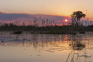 Okavango Delta Sunset Prints: Sunset over the waterscape of the Okavango Delta