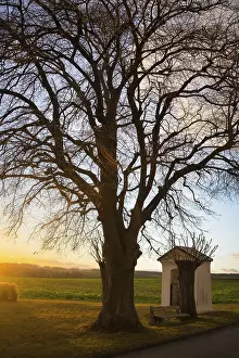 Atmospheric Evening Light Scene Prints: Sunset over wheat field with path and chapel