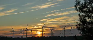 Eco Friendly Energy Supply Prints: Sunset, wind turbines, sunset, tree