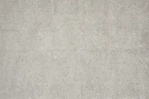 Gray Textured Background Prints: Surface of a medium gray rough plaster wall