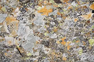 Rock Surface Texture Prints: Surface of a stone - structure