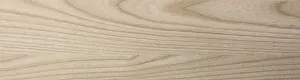Wood Background Prints: Surface of wood background with natural pattern