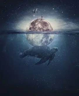 Surrealism Prints: Turtle Carries Moon in Magical Night Print
