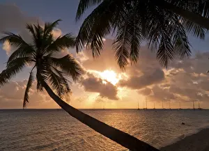 Deserted Island Scene Prints: Suwarrowatoll