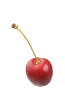 Single Object Still Life Prints: Sweet cherry