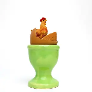 Symbolic Still Life Photography Prints: Symbol picture, easter, Concept egg and egg cup