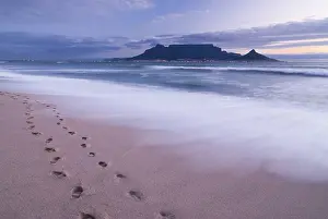 Western Cape Landscape Photography Prints: Table Mountain, Lion's Head and Devil's Peak in the evening light