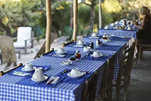 Tropical Holiday Resort Prints: Table with empty plates and coffee cups
