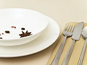 Spicy Food Nutrition Facts Prints: Table Serving With Anise Stars
