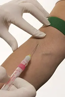 Blood Sampling Prints: Taking blood