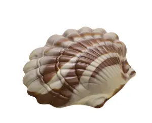 White Background Sweets Prints: Tasty mixed chocolate in shape of seashell