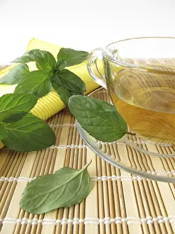 Medicinal Plant Uses Prints: Tea with lemon and mint