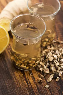 Asteraceae Family Plants Prints: Teaglass with yellowhead root tea