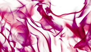 Abstract Wave Background Prints: Technology, science and artistic flow concept - Abstract wave background