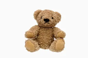 Teddy Bear Prints: Teddy bear