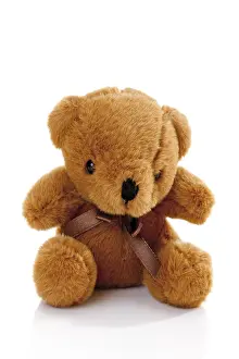 Teddy Bear Prints: Teddy bear