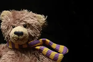 Childhood Toy Image Prints: Teddy bear, Teddy