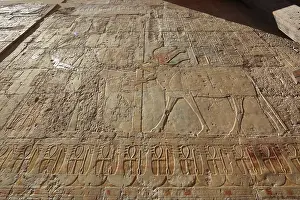 Hatshepsut Temple Prints: Part of the temple complex, pictorial representations