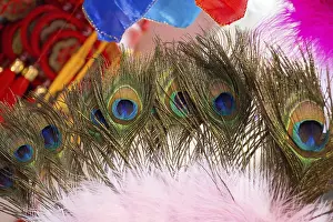 Bird Feather Patterns Prints: Tender beautiful bird feathers and pattern