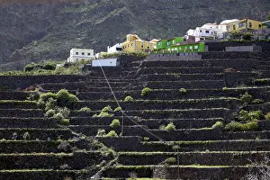 Canary Islands Agriculture Prints: Terraced fields in Agulo, La Gomera